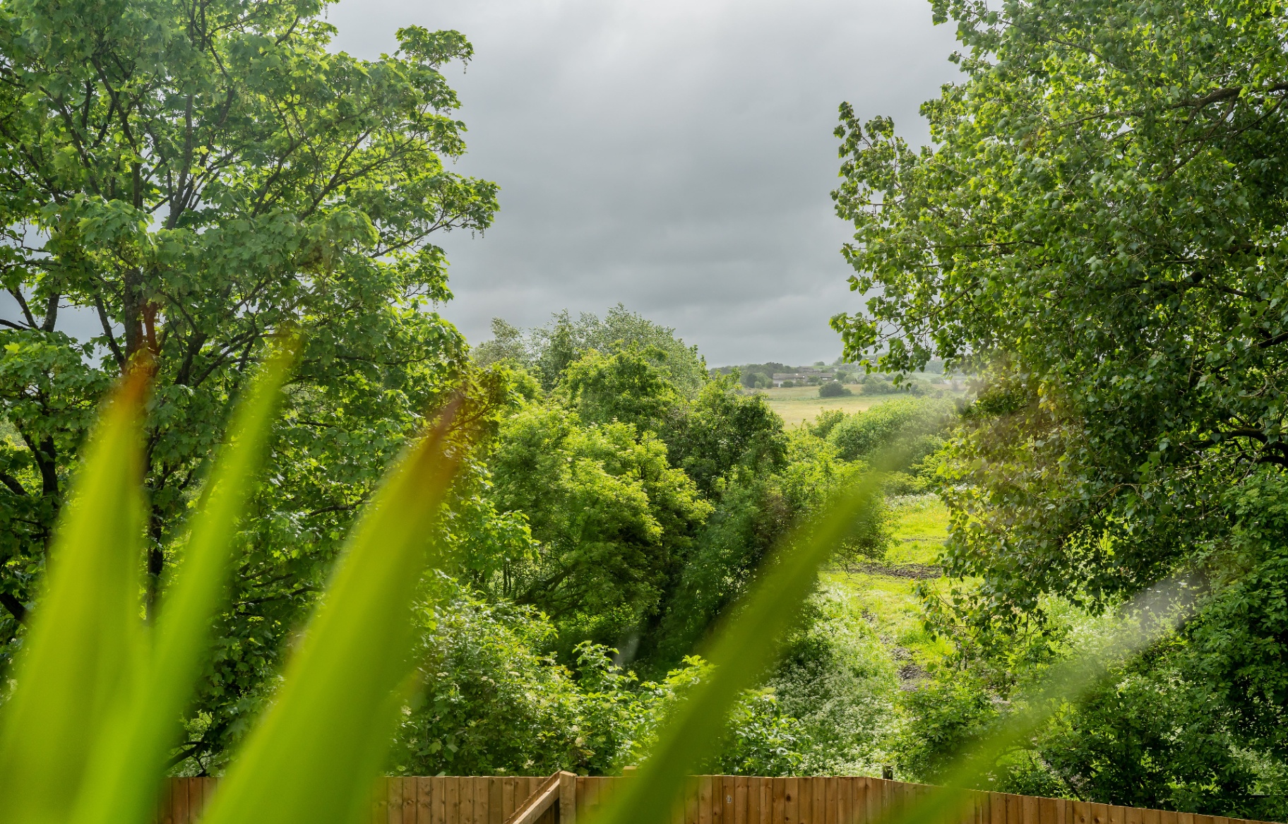 Holden Vale — image 9
